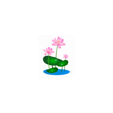 ʡǮ����