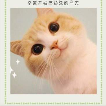 EMMO�ռ�