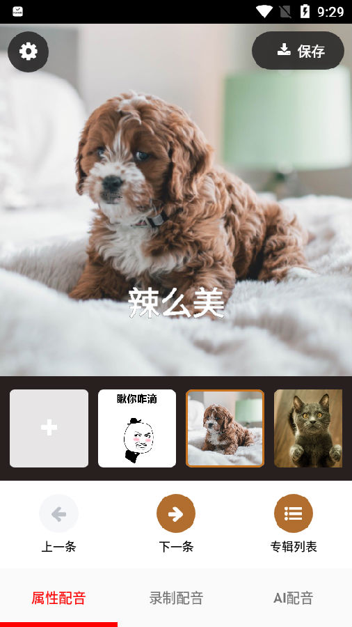 活照片2020
