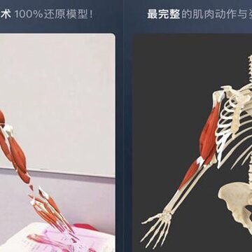 维萨里3D解剖破解版 维萨里3D解剖破解版