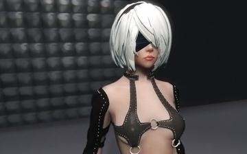 上古卷轴5天际女性猎奇拘束服mod 上古卷轴5天际女性猎奇拘束服mod