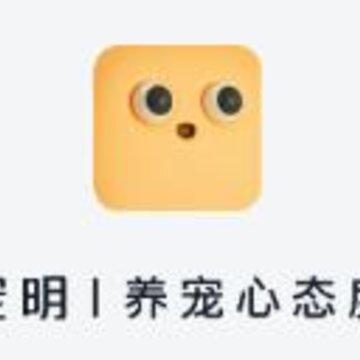 ����app(��������)