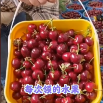 天南果园红包版 天南果园红包版