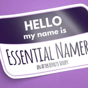 AEΪ����ͼ�����Բ����Զ�����Essential Namer