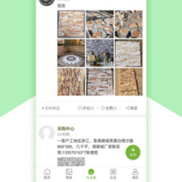 ʯ��app