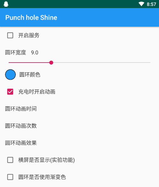 Punch hole Shineģڿ