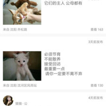 铲屎官 铲屎官