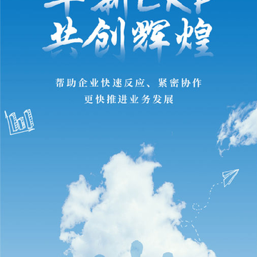 华新电力ERP 华新电力ERP