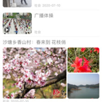 粮都富锦 粮都富锦