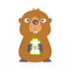 ���걦v1.0.0 ���°�