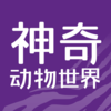 ���涯������appv3.1 ���°�