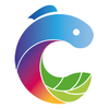���ֹ�appv4.4.1 ���°�