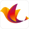 ��̩����appv5.0.4 ���°�