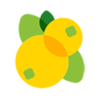 ������Ѷappv1.40 �ٷ���