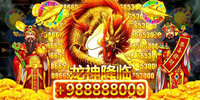 ���Ĳ���Ӯ����