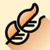 Ŵ��ѧ��appv1.1.0 ���°�