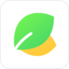 ӵ������(�人��������ָ��)v1.6.15-d38de23 ���°�