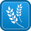spreadjs破解版v13.1.4 官方版