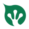 ����С��appv0.0.1 �ٷ���
