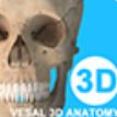 �S�_里3D解剖