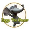 ׷֮(Ziggy The Chaser)ⰲװɫ