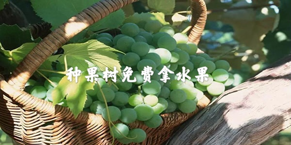 �ֹ��������ˮ��app����-������ˮ������Щapp