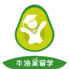 牛油果留学appv1.2 用户版