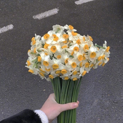 ����ѹ�ֵ�ǩ��Ӣ�Ĵ����� ���Լ�һЩ������ʱ��