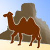 ¥��24Сʱappv1.0.0 ��׿��