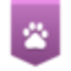Elvin�ٶȲɼ�v1.0 ��Ѱ�