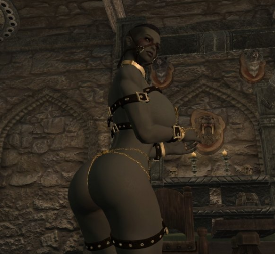 上古卷轴5天际女性猎奇拘束服mod最新版
