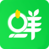 鲜米到家v3.1.7 最新版