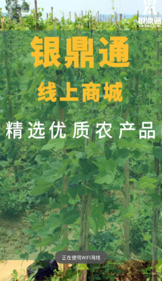 银鼎通商品交易服务中心 银鼎通商品交易服务中心