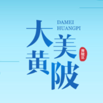 大美黄陂app 大美黄陂app