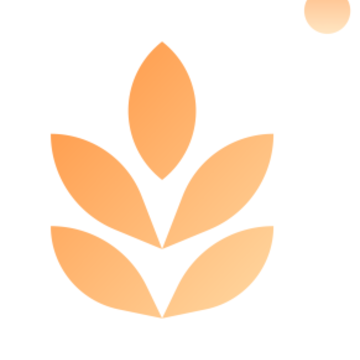 �������app