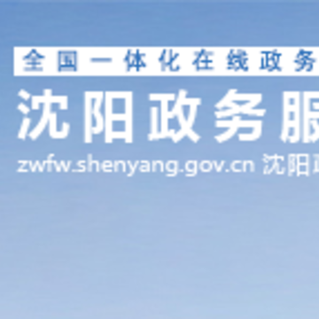 沈阳政务服务 沈阳政务服务