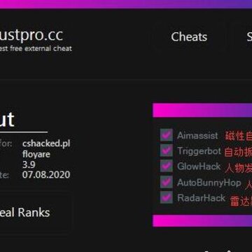 CSGO CC官匹5E多功能修改器 CSGO CC官匹5E多功能修改器