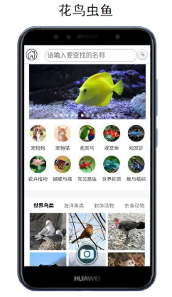 ����ʶ��app