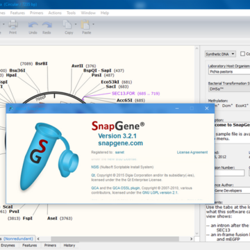 GSL Biotech SnapGene(��������ѧ����)