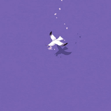 掌鸽app 掌鸽app