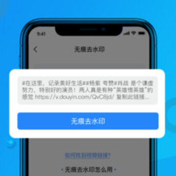 ��Ƶȥˮӡϵͳ