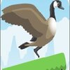 Jump Goose Jump!(������ģ����˫�˰�)v1.03 ���°�