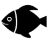 Copyfish��������v4.2.1 ��Ѱ�