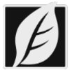skinfiner 3(��ƬĥƤ���ײ��)v3.2.0 ���İ�