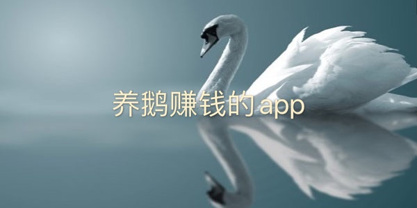����׬Ǯ��app