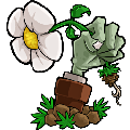 ֲ���ս��ʬPVZ�°�ճ���޸���