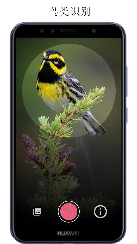 ����ʶ��appv1.0.7 ���°�
