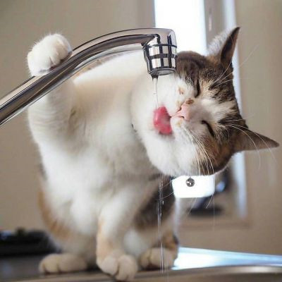 ����ɰ�С����΢��QQͷ�� ����ֵ�ȳ�ԹԺÿ�ͷ��