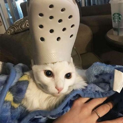 QQ΢�ſɰ��ر�ɳ����Ĭ�����Ȥͷ�� �㳯�Ź����ҳ�������