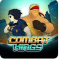 Combat Kings(����֮��)